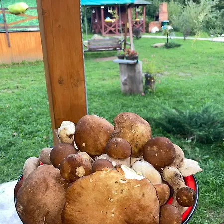 Na Uzlissi * Myhove