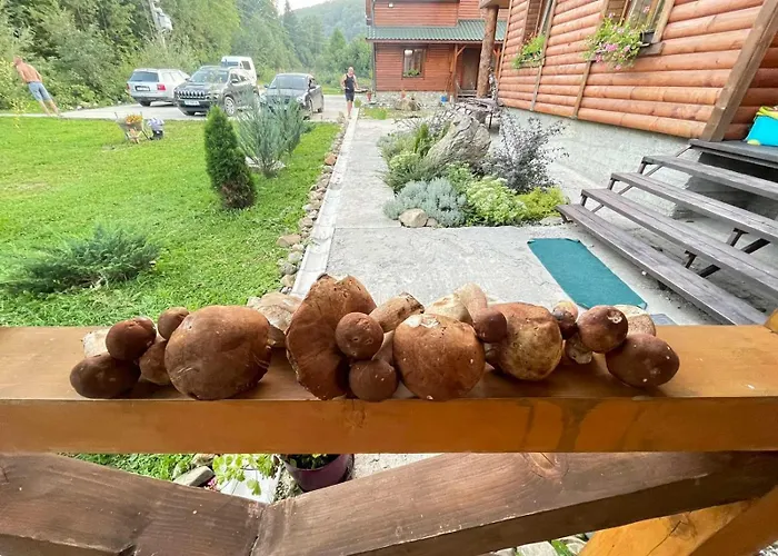 Villa Na Uzlissi Migovo