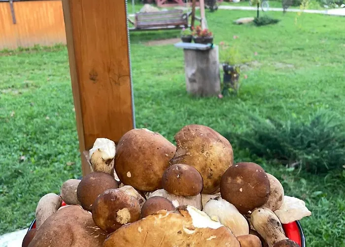 Na Uzlissi * Migovo