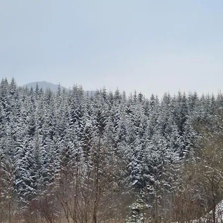 Na Uzlissi Villa *